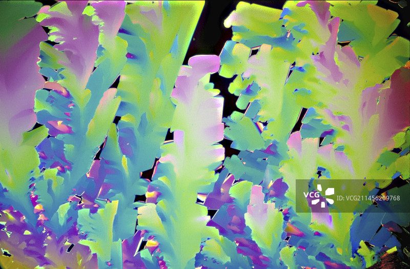 万古霉素抗生素晶体，LM图片素材