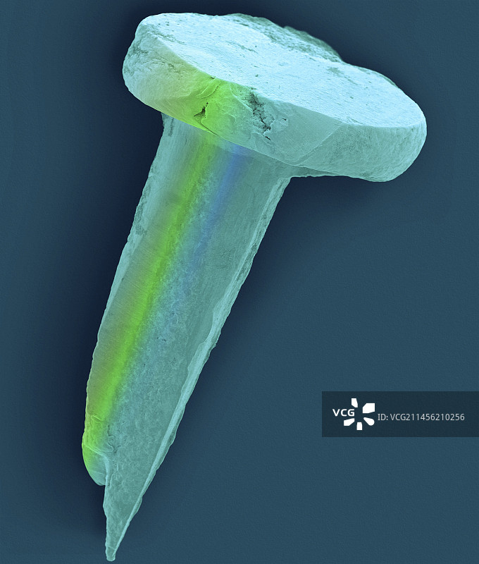 平头钉，扫描电镜图片素材