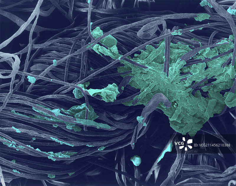 T恤棉质领口污垢SEM图像图片素材