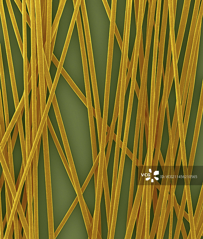 人发毛干扫描电镜图图片素材