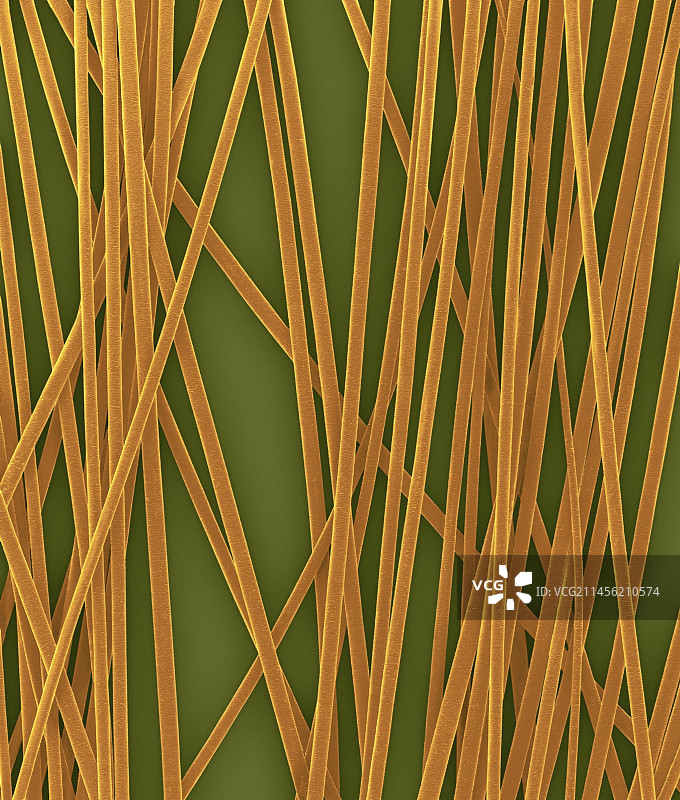 人发毛干扫描电镜图图片素材