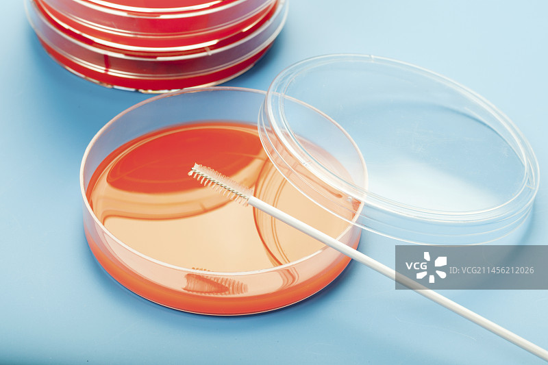 蓝色背景下的培养皿图片素材
