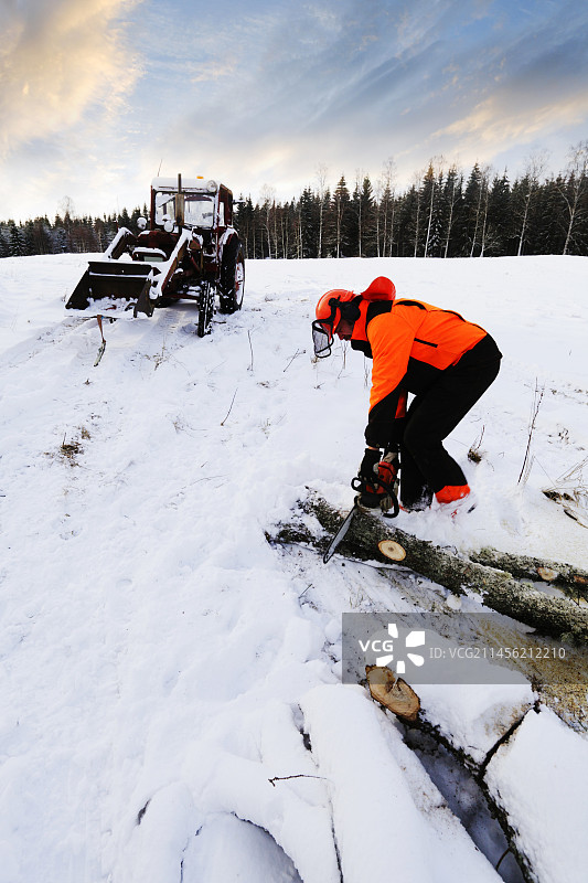 冬季用电锯切割原木的伐木工人图片素材