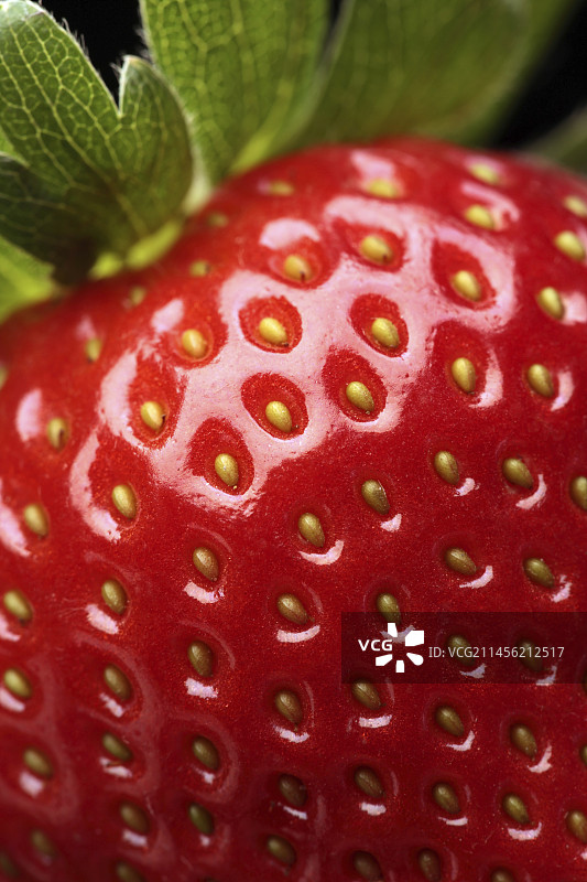 草莓特写图片素材