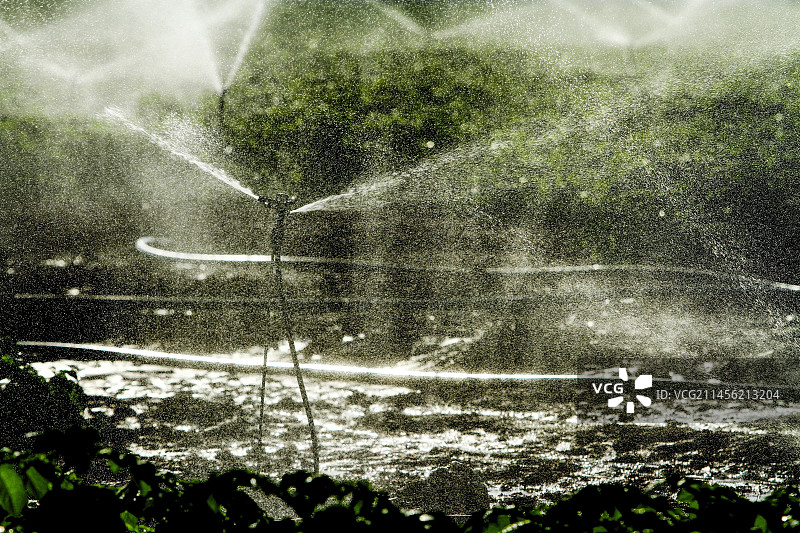 田间的喷水装置图片素材