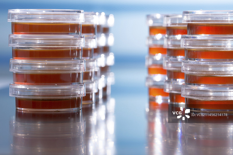 琼脂培养皿图片素材