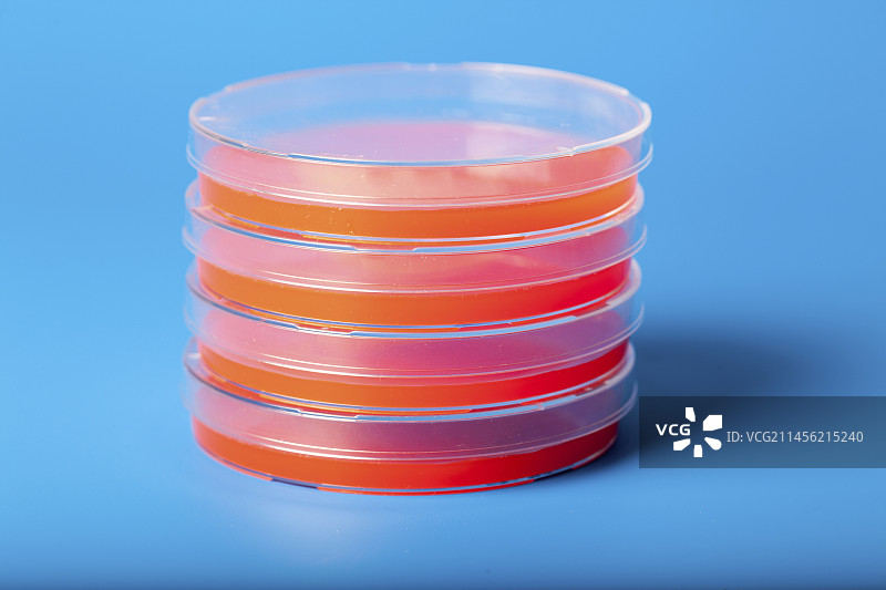 含血琼脂的培养皿图片素材