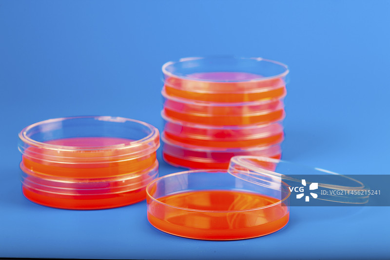 含血琼脂的培养皿图片素材