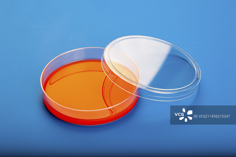 含血琼脂的培养皿图片素材