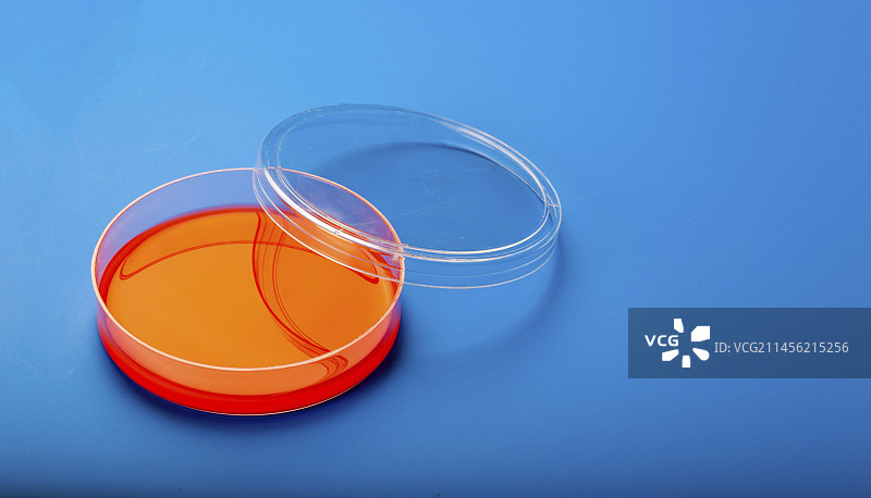 含血琼脂的培养皿图片素材