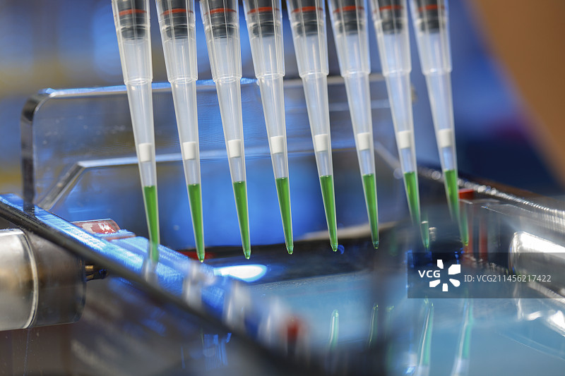 用于凝胶电泳的移液管取样图片素材