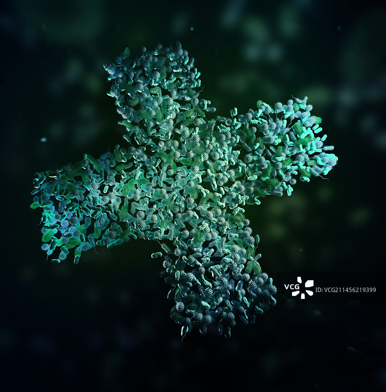 细菌交叉示意图图片素材