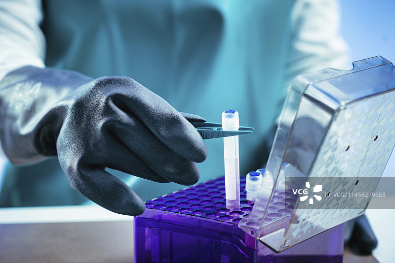 技术员准备用于速冻的生物样本图片素材