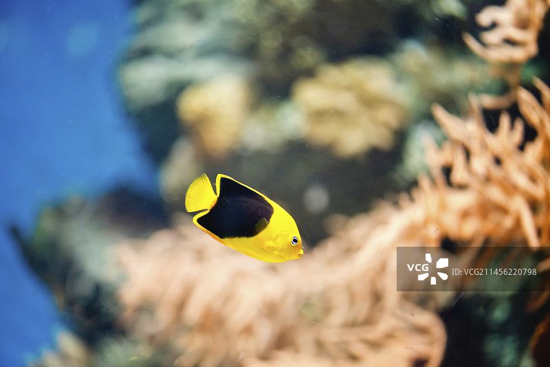 岩石之美图片素材