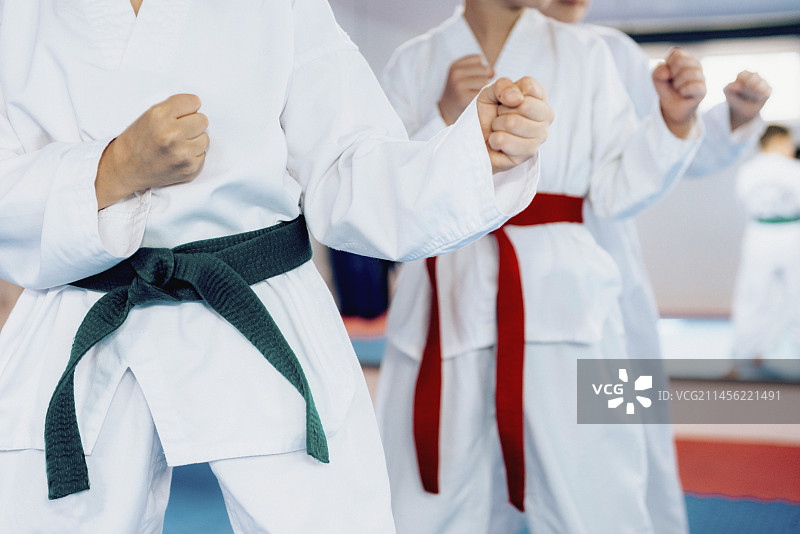 跆拳道班的孩子们图片素材