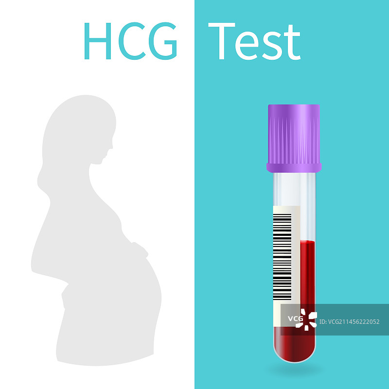 血液妊娠测试插图图片素材