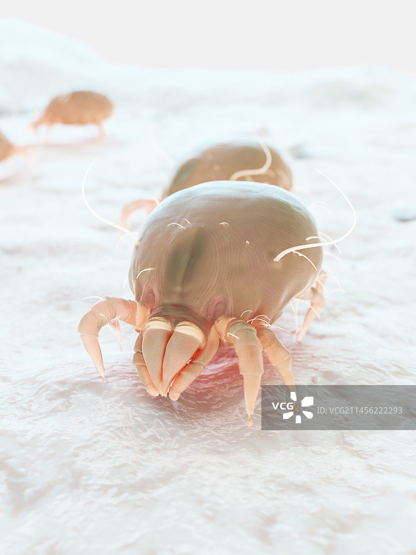 尘螨插画图片素材