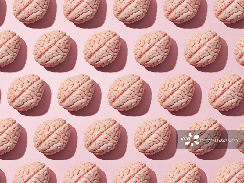 大脑图片素材