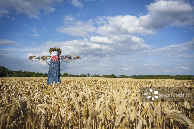 稻草人图片素材