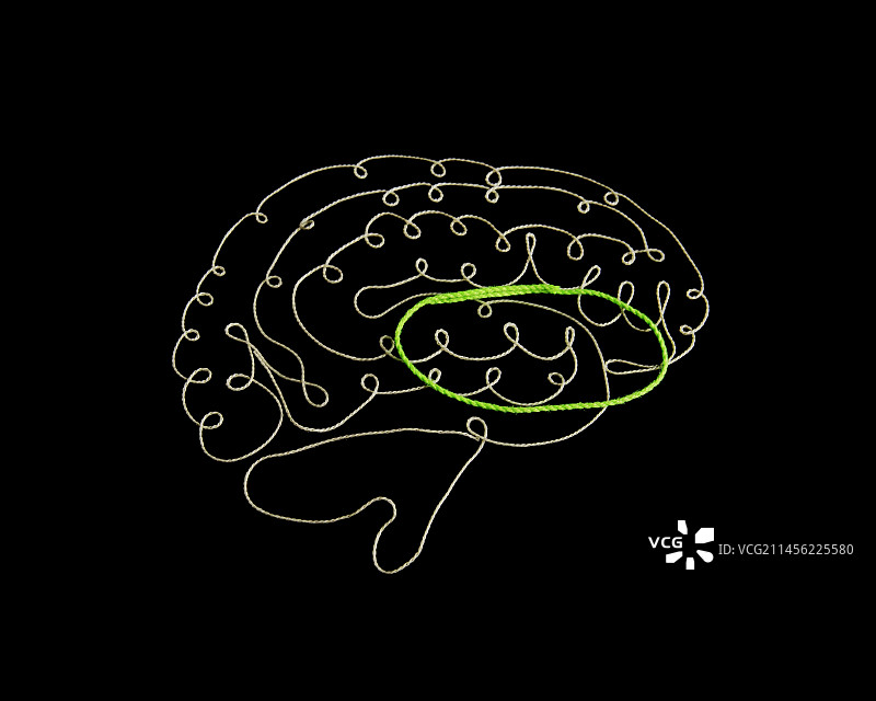 大脑CBGTC环路概念图图片素材