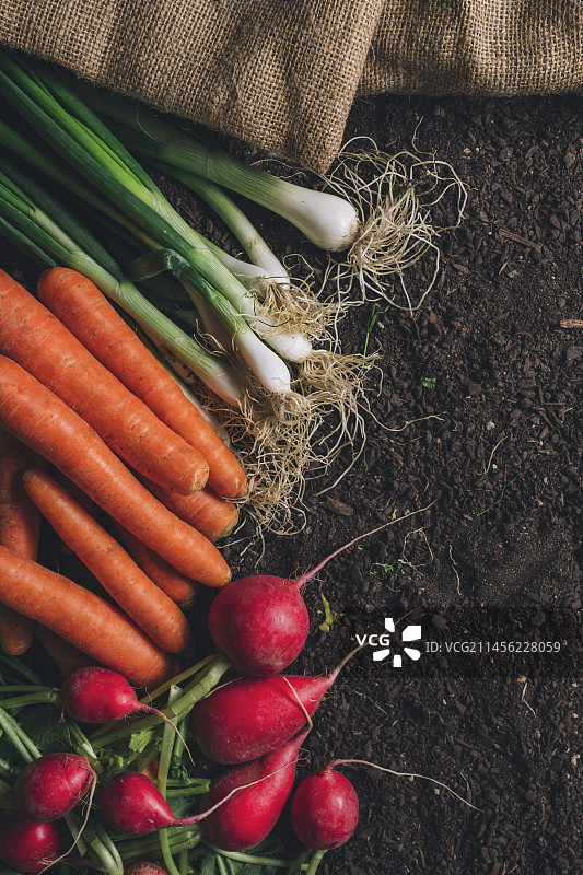 收获的蔬菜图片素材