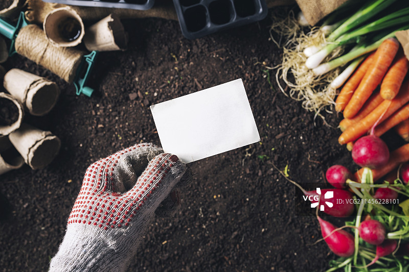 职业园丁概念图图片素材