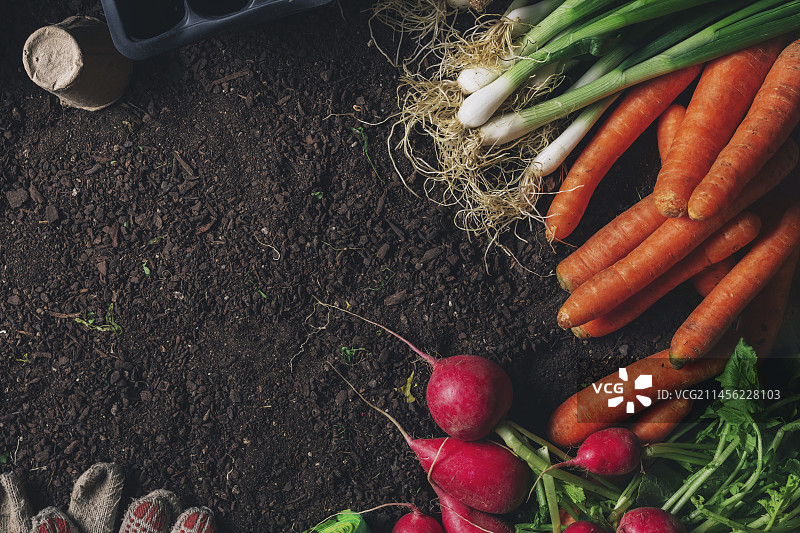 园艺概念图图片素材