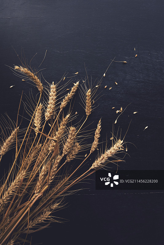 麦穗和谷物图片素材