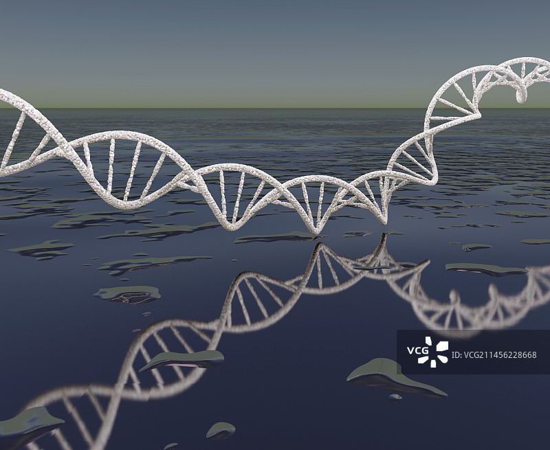 水面上的DNA，插图图片素材