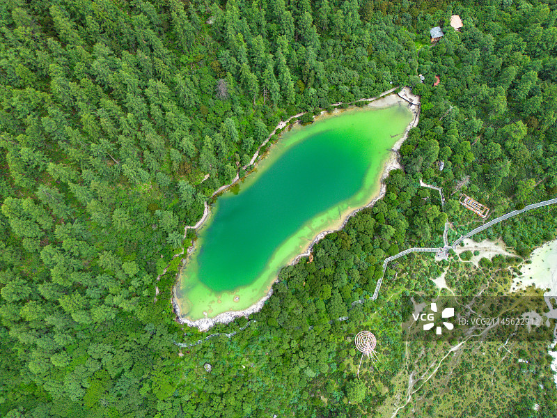 甘孜州稻城亚丁珍珠海 川西森林里的绿色宝石图片素材