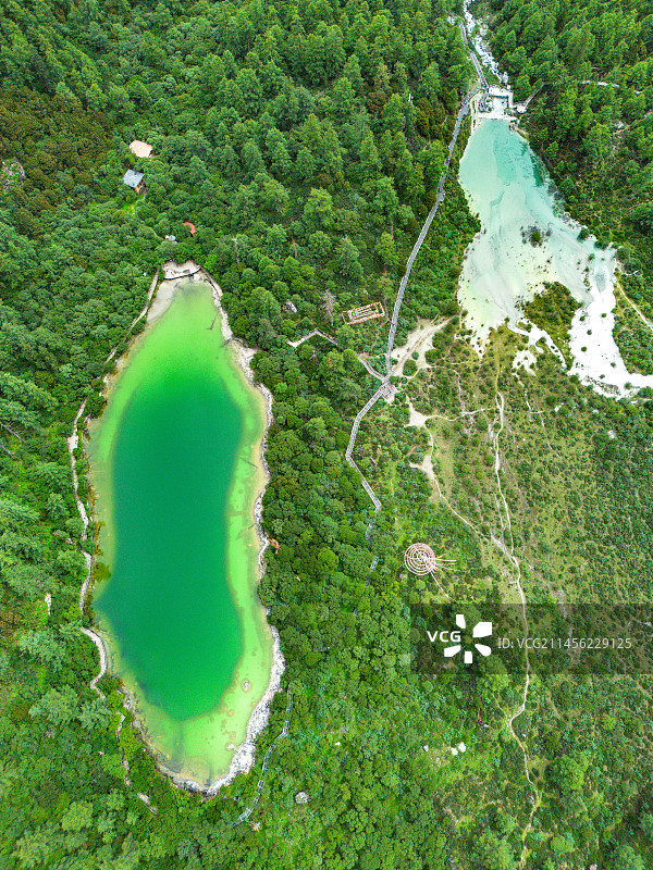 甘孜州稻城亚丁珍珠海 川西森林里的绿色宝石图片素材