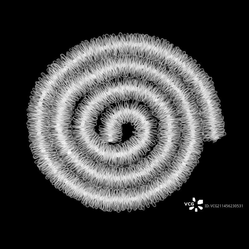 卷曲的拉菲草，X光图片素材