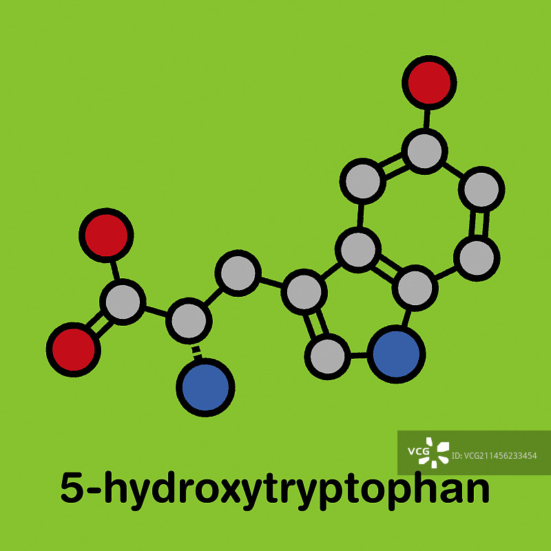 5-羟色氨酸氨基酸分子结构图图片素材