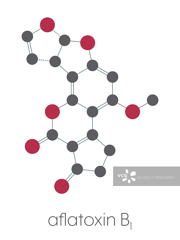 黄曲霉毒素B1致癌分子插图图片素材
