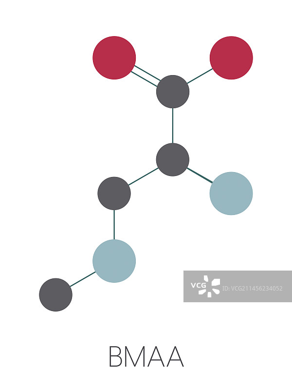 BMAA有毒氨基酸分子，图示图片素材