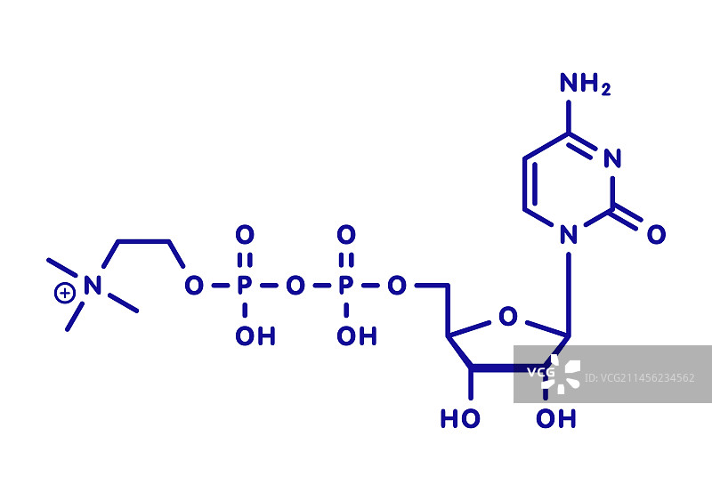 胞磷胆碱分子结构图图片素材