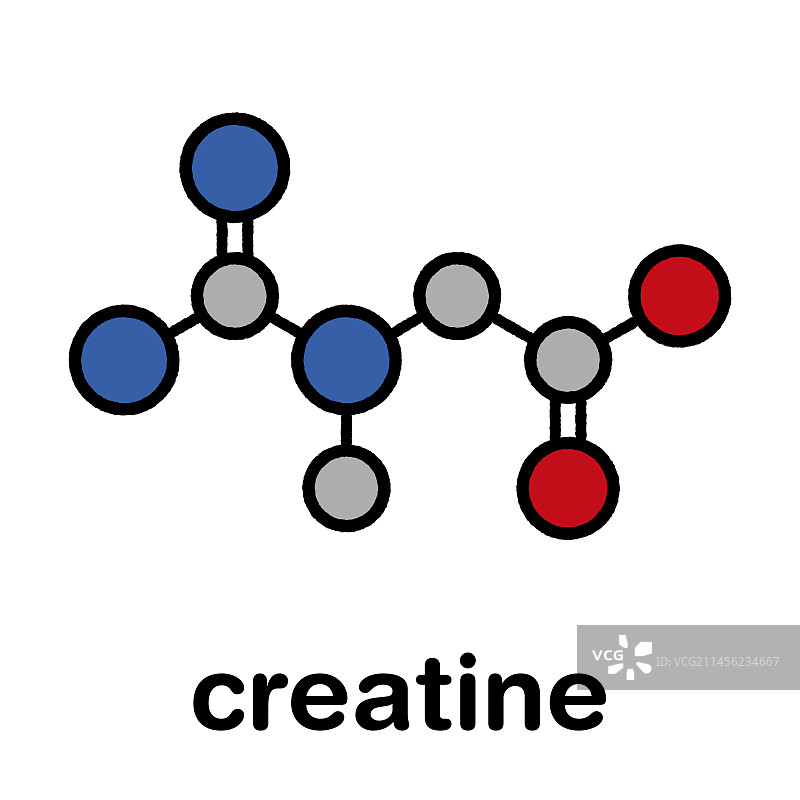 肌酸分子结构图图片素材