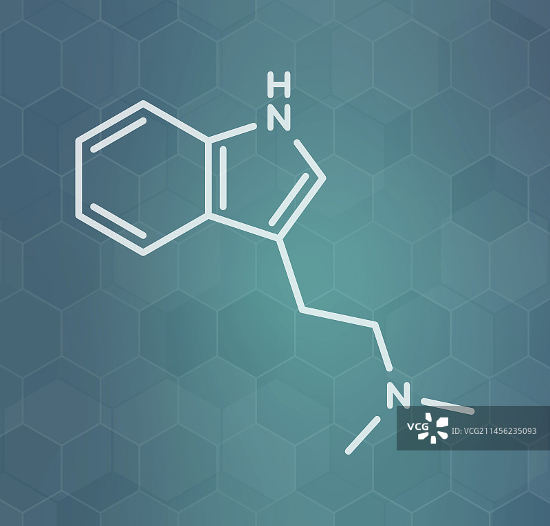 二甲基色胺迷幻药分子结构图图片素材
