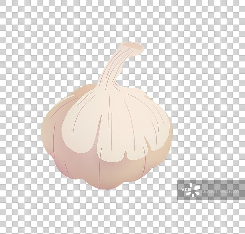 蒜头图片素材