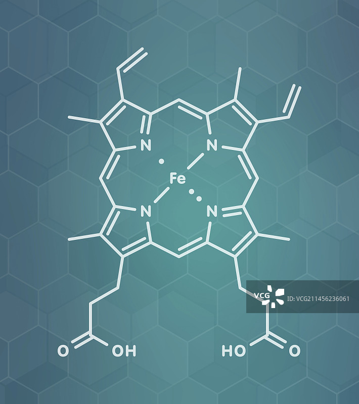 血红素B分子图示图片素材