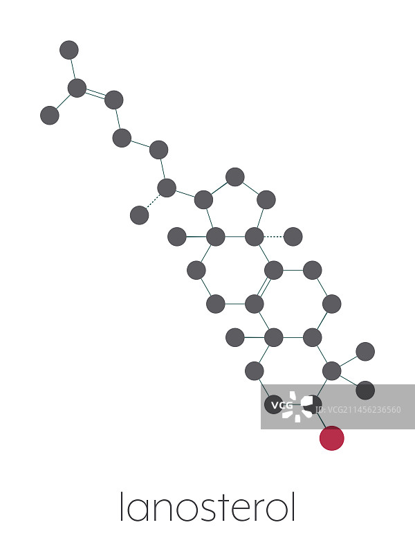羊毛甾醇分子结构示意图图片素材