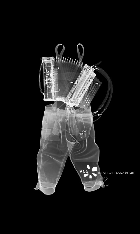 皮裤和钢琴手风琴X光片图片素材