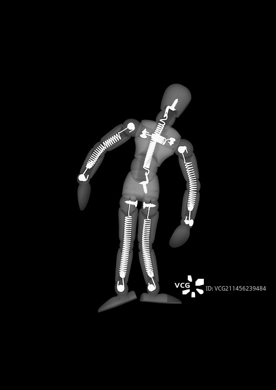 木制人偶X光片图片素材