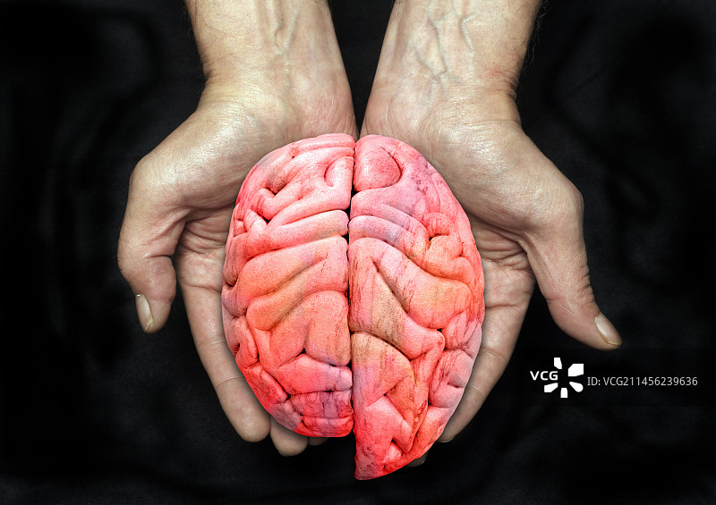 放大的左脑半球概念图图片素材