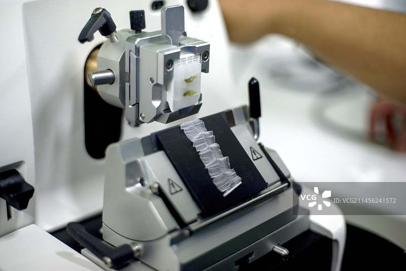 用轮转式切片机切割组织切片图片素材