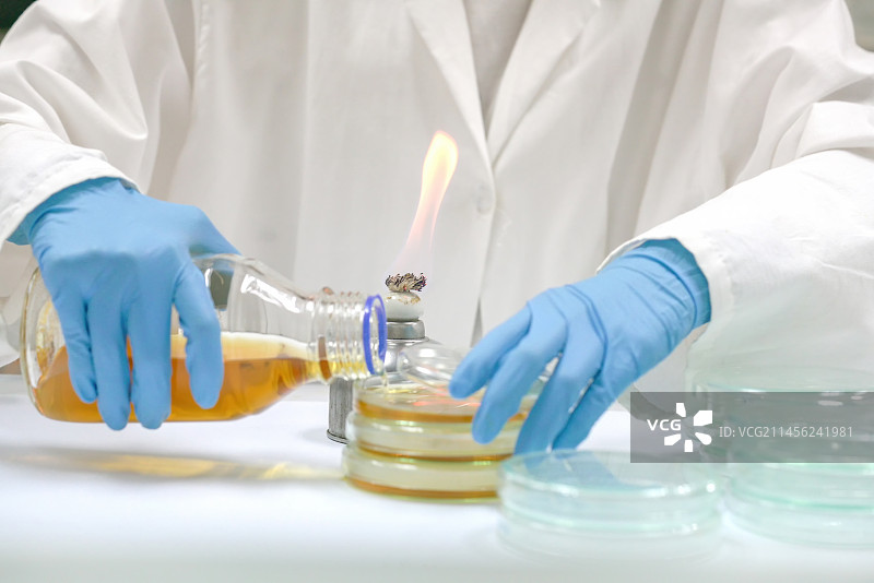 倾倒培养皿图片素材