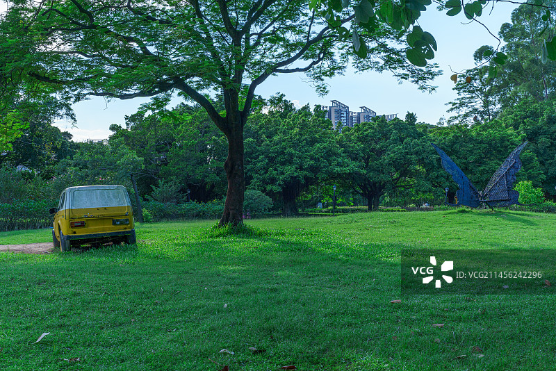 广州南沙蒲洲花园绿色草坪树林与废弃汽车图片素材
