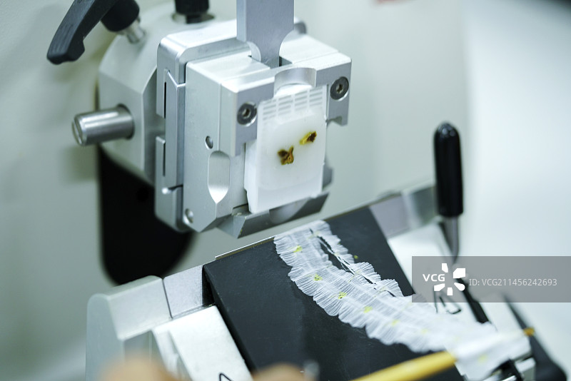 在轮转式切片机上切割组织切片图片素材