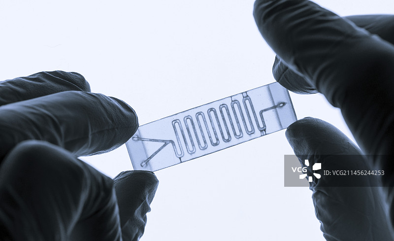 芯片器官图片素材