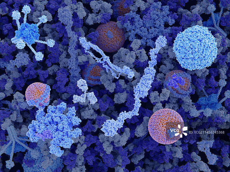 血浆成分图图片素材